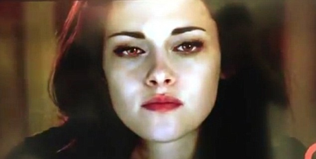 � ���� �� ���� ������ �� �� ������ ����������� � �������� �������� �� ��������������� ���������� ����� ������: ���������� - ���� 2�, ����� �� �������� ���� �� ������������ ���� 2008-�� ������ ������� ������� �������� �������.